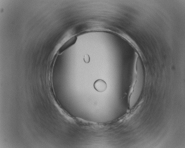 X0000067510909200604281605