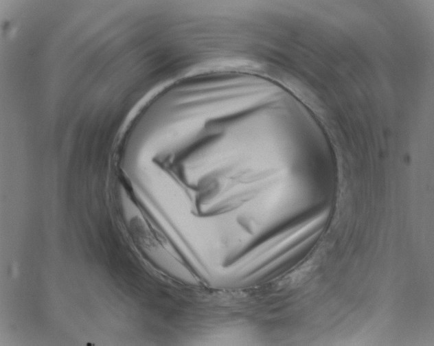 X0000067510912200604281605