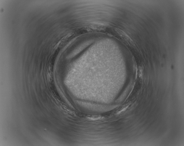 X0000067510915200604281604