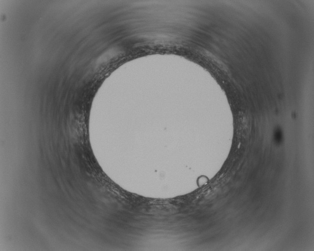 X0000067510918200604281604