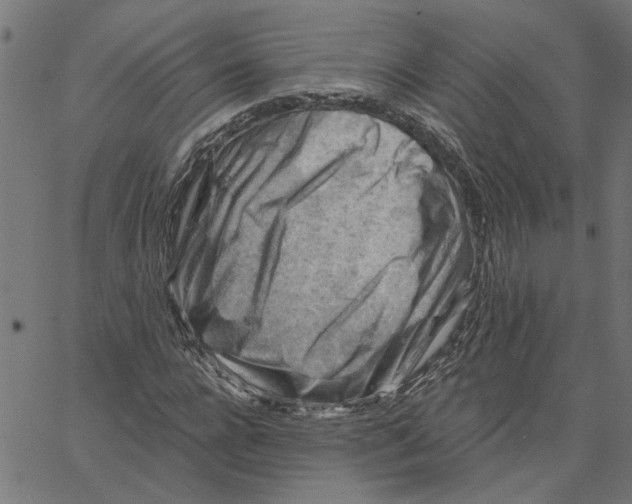 X0000067510920200604281604