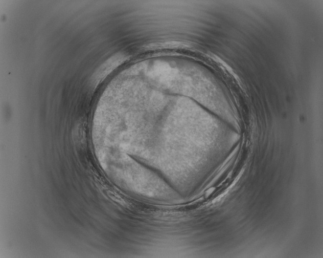 X0000067510921200604281604