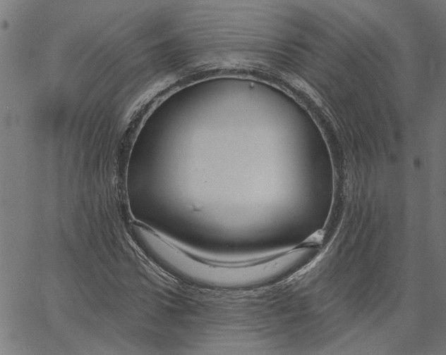 X0000067510922200604281604