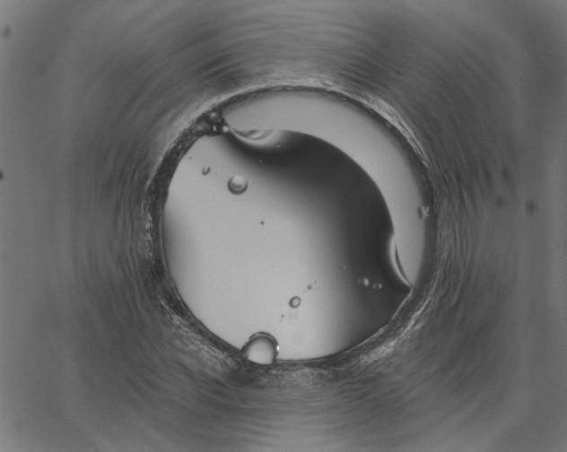 X0000067510926200604281604