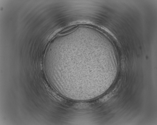 X0000067510929200604281604