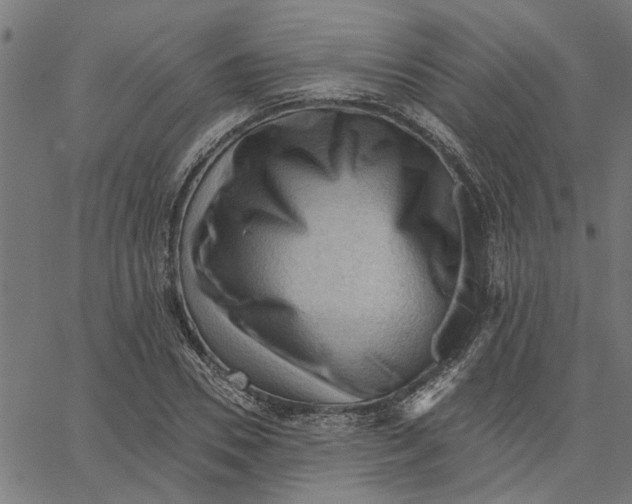 X0000067510930200604281604