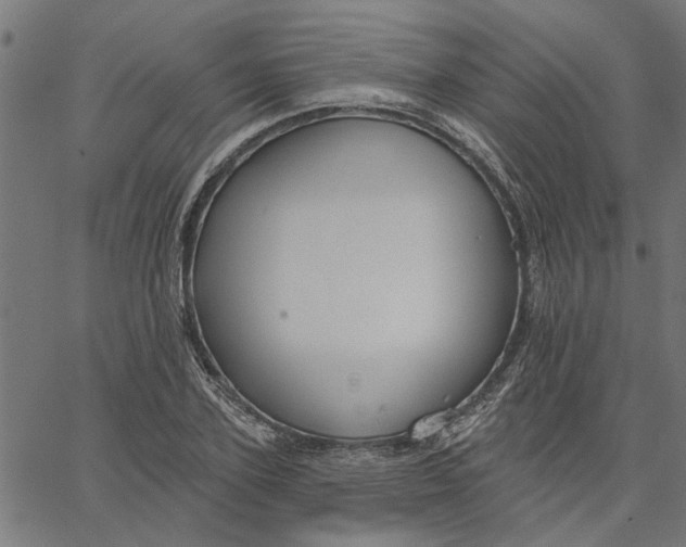 X0000067510931200604281604