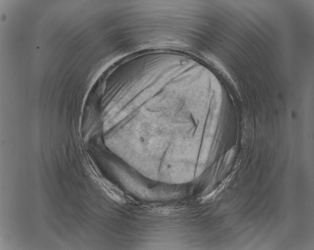 X0000067510932200604281604