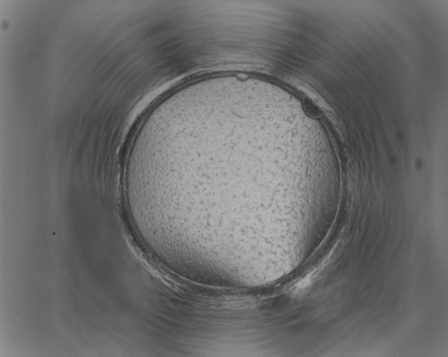 X0000067510933200604281604