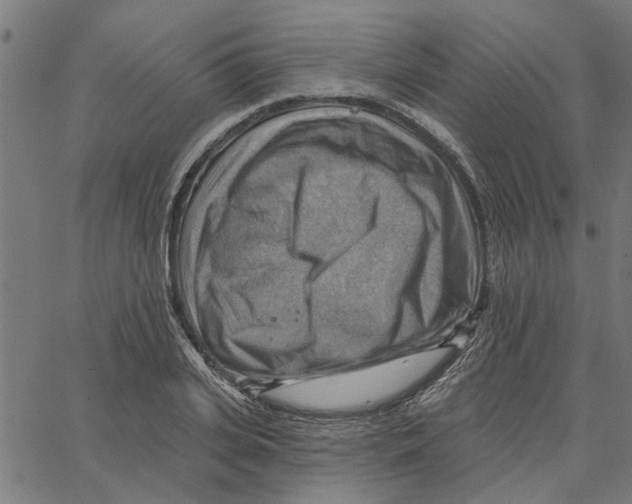 X0000067510935200604281604