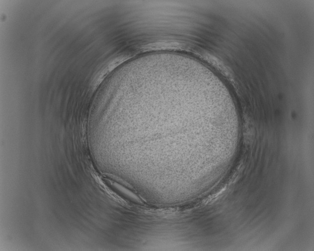 X0000067510937200604281604