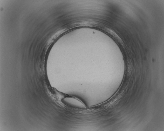 X0000067510938200604281604