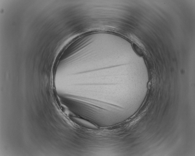 X0000067510940200604281605