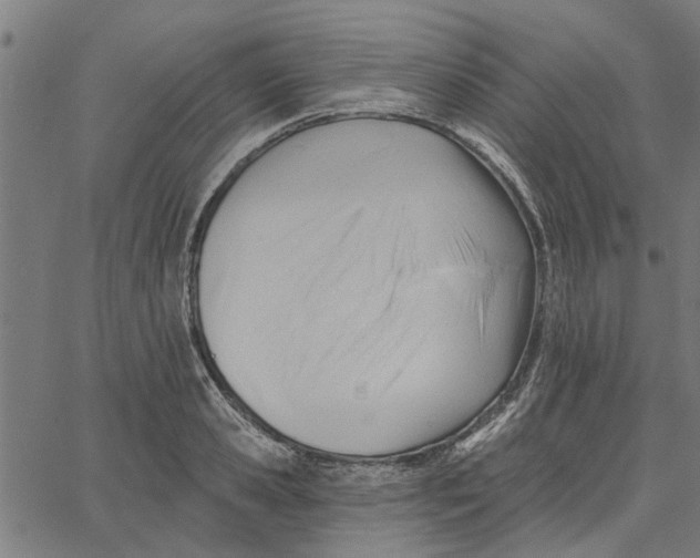 X0000067510941200604281605