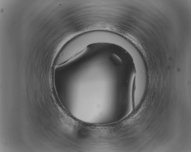 X0000067510942200604281605