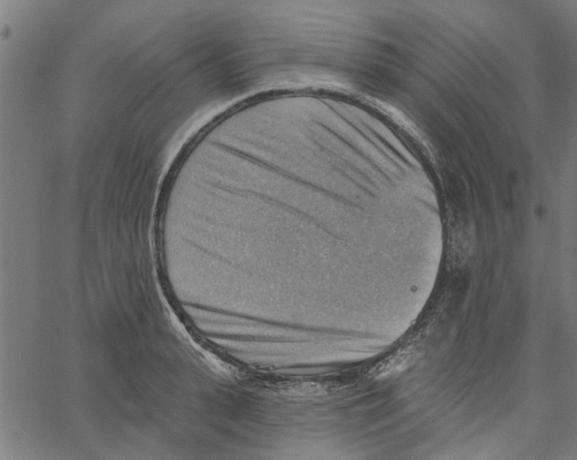 X0000067510943200604281605