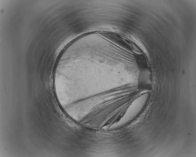 X0000067510944200604281605