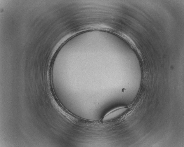 X0000067510947200604281605