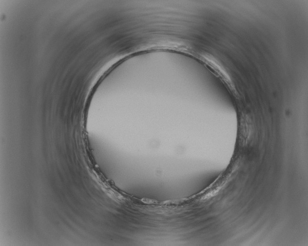 X0000067510948200604281605