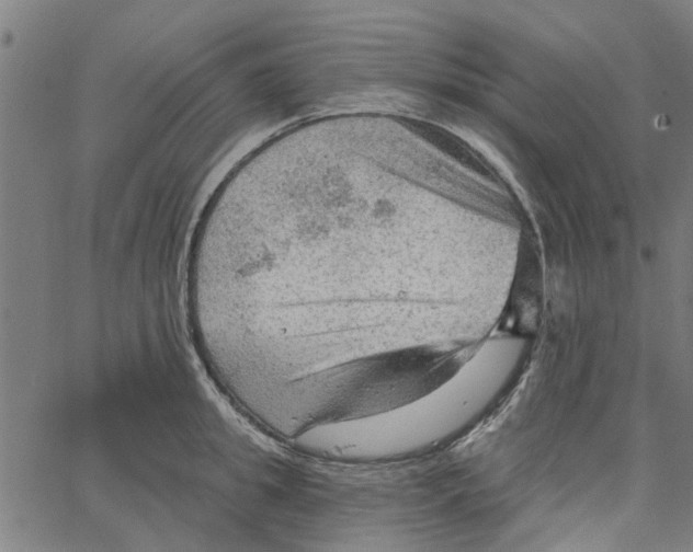 X0000067510949200604281605