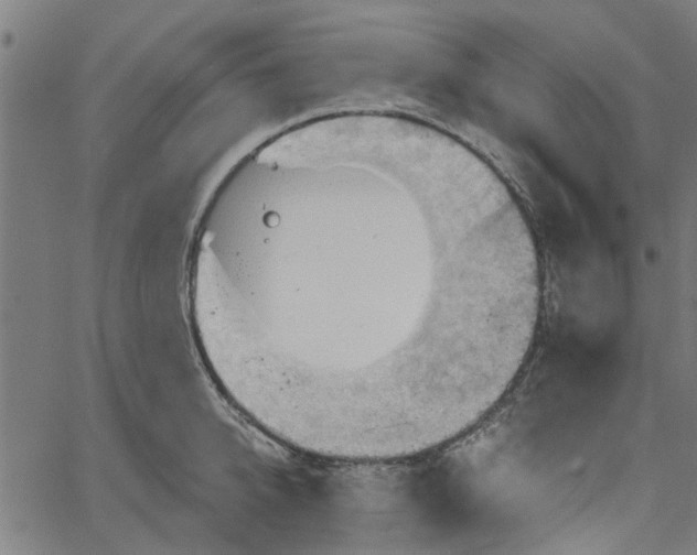 X0000067510950200604281605