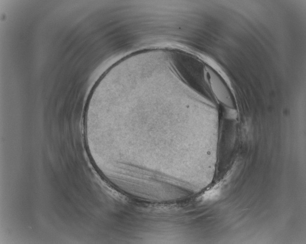 X0000067510951200604281605