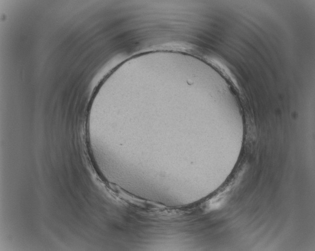 X0000067510952200604281605