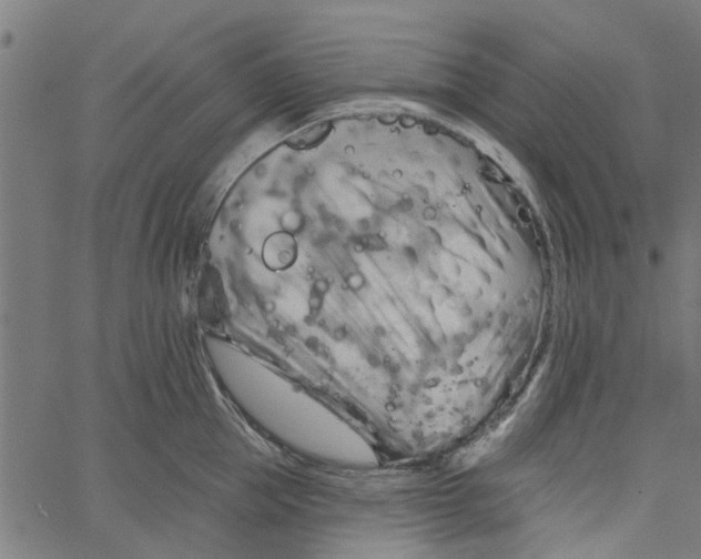 X0000067510953200604281605