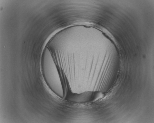 X0000067510955200604281605