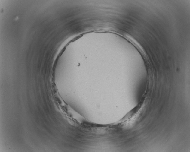 X0000067510956200604281605