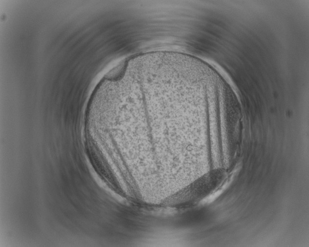 X0000067510957200604281605