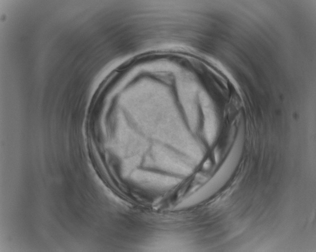 X0000067510959200604281605