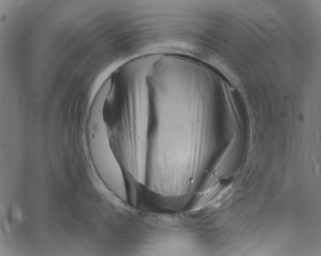 X0000067510960200604281605