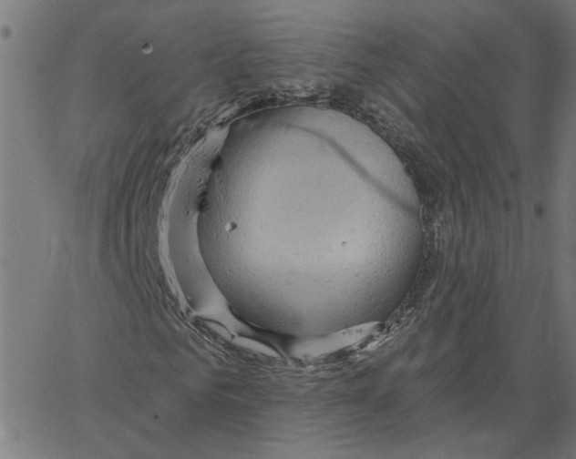 X0000067510961200604281604