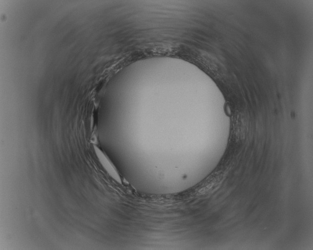 X0000067510962200604281604