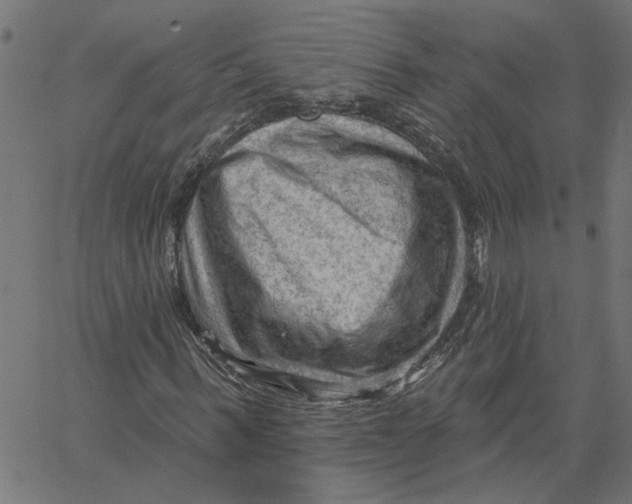 X0000067510963200604281604