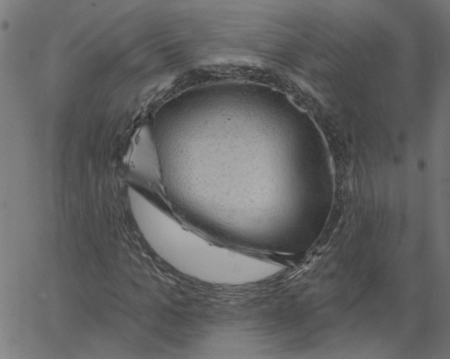 X0000067510965200604281604