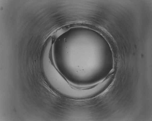 X0000067510969200604281604