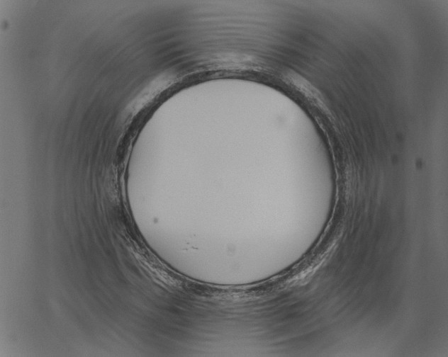 X0000067510970200604281604