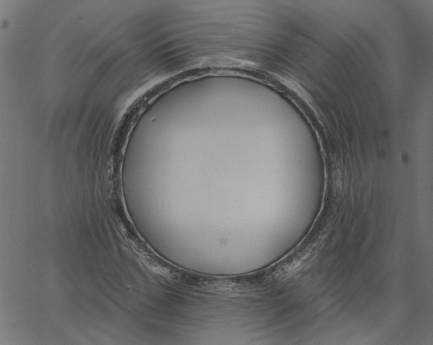 X0000067510971200604281604