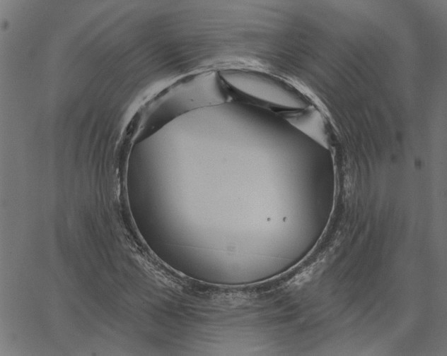 X0000067510973200604281604