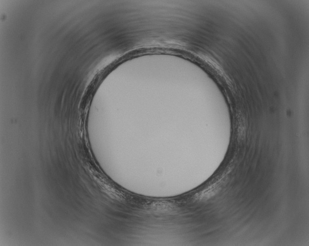 X0000067510974200604281604