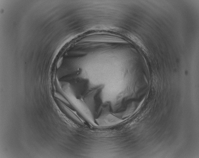 X0000067510976200604281604