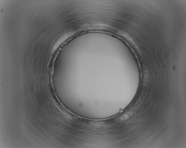 X0000067510978200604281604