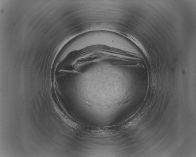 X0000067510980200604281604