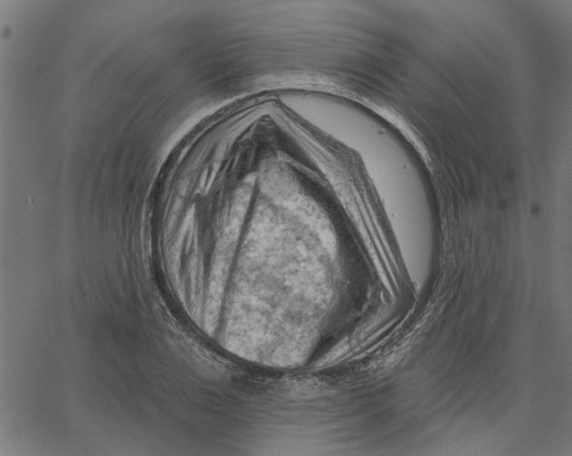 X0000067510983200604281604