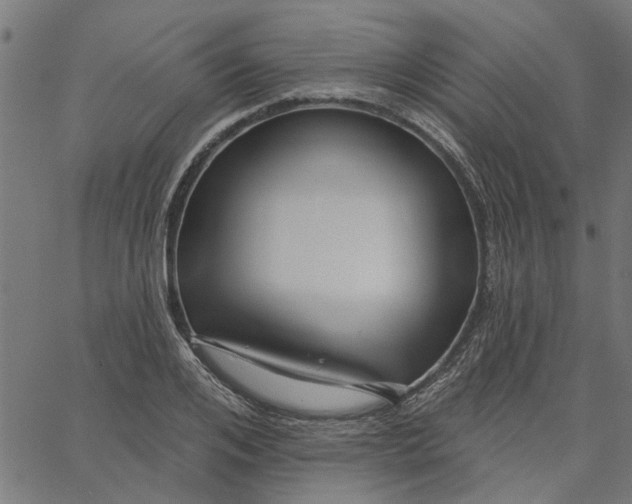 X0000067510984200604281604