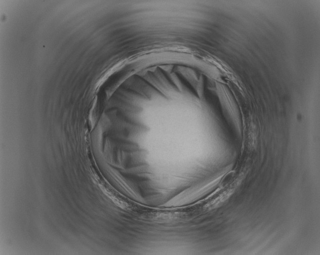 X0000067510985200604281604