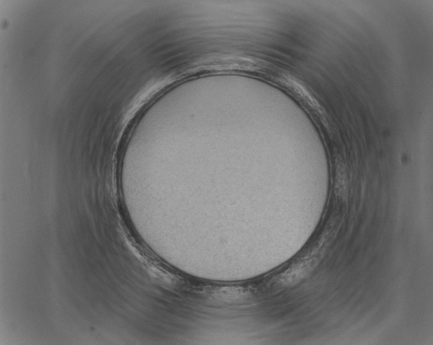 X0000067510986200604281604