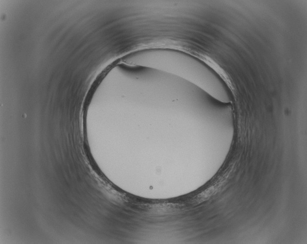 X0000067510988200604281604